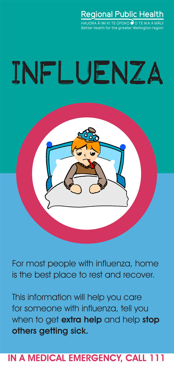 Influenza brochure